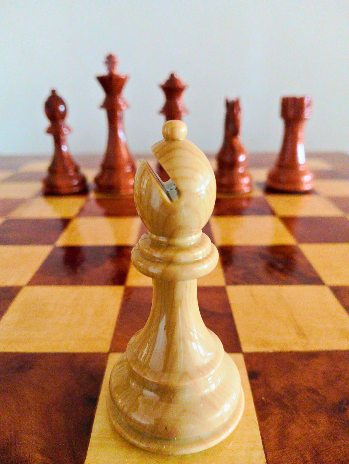 Fou ivoire en bois de Thuya — Regal Chess