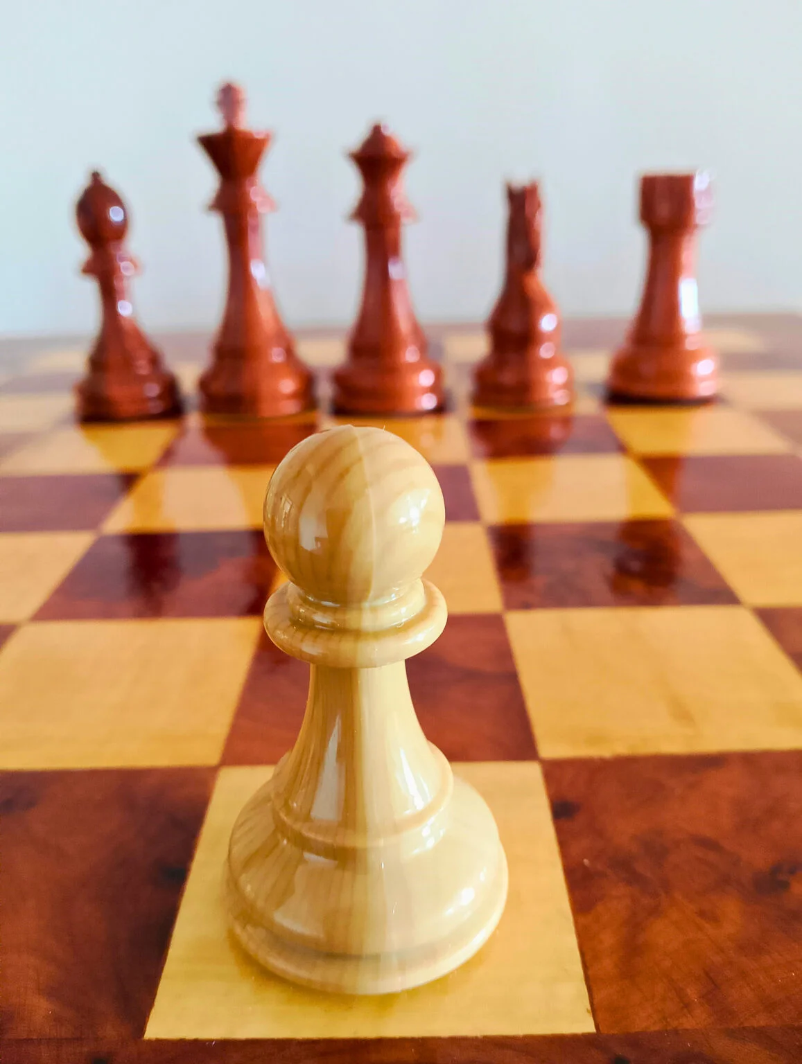 Pion ivoire en bois de Thuya — Regal Chess