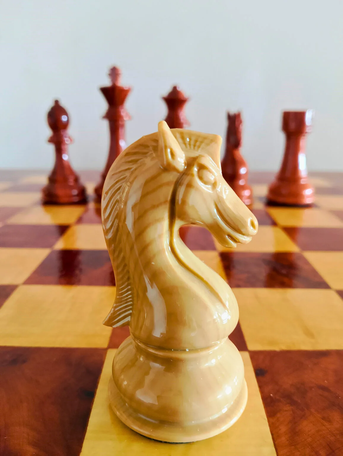 Chevalier en bois de Thuya — Regal Chess
