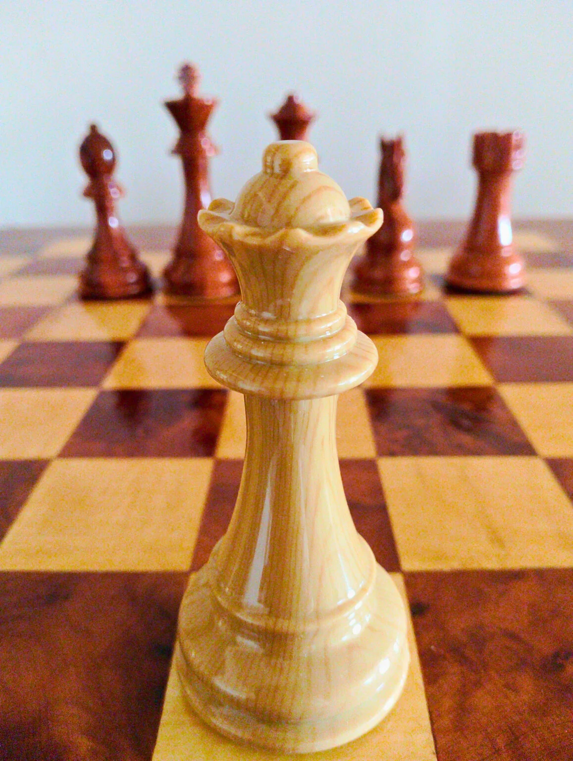 Reine ivoire en bois de Thuya — Regal Chess