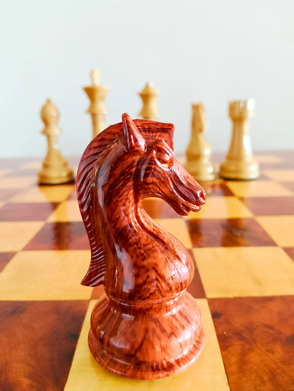 Cavalier en bois de Thuya — Regal Chess