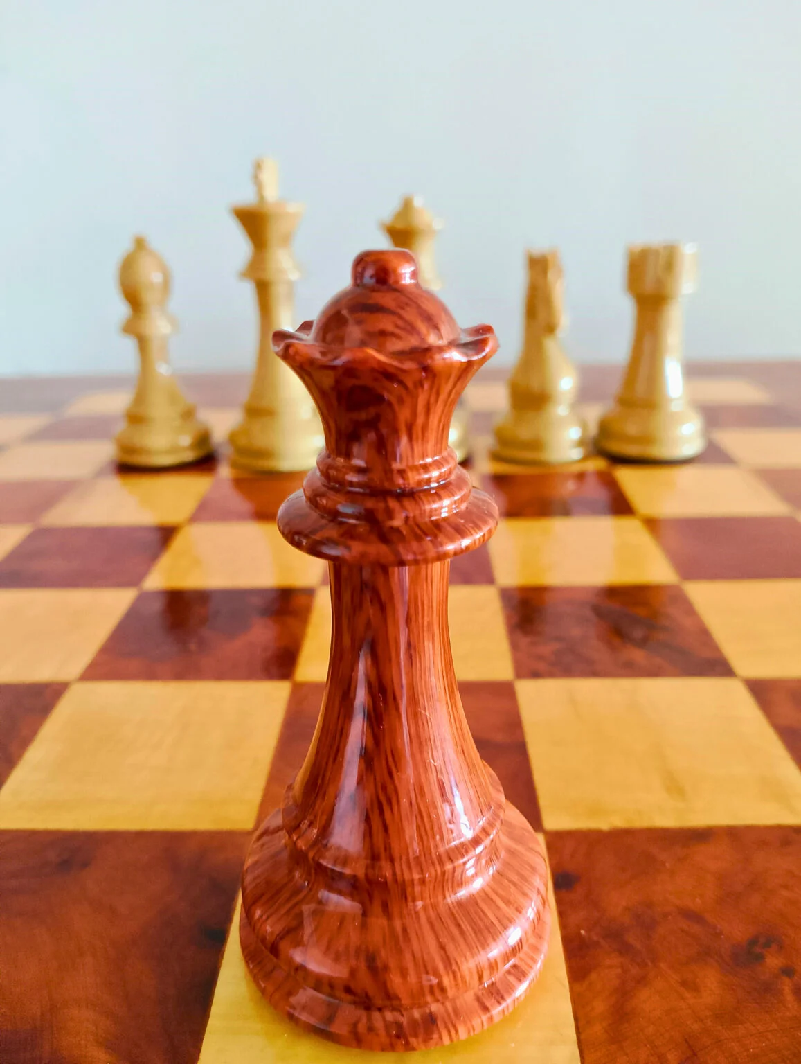 Reine en bois de Thuya — Regal Chess
