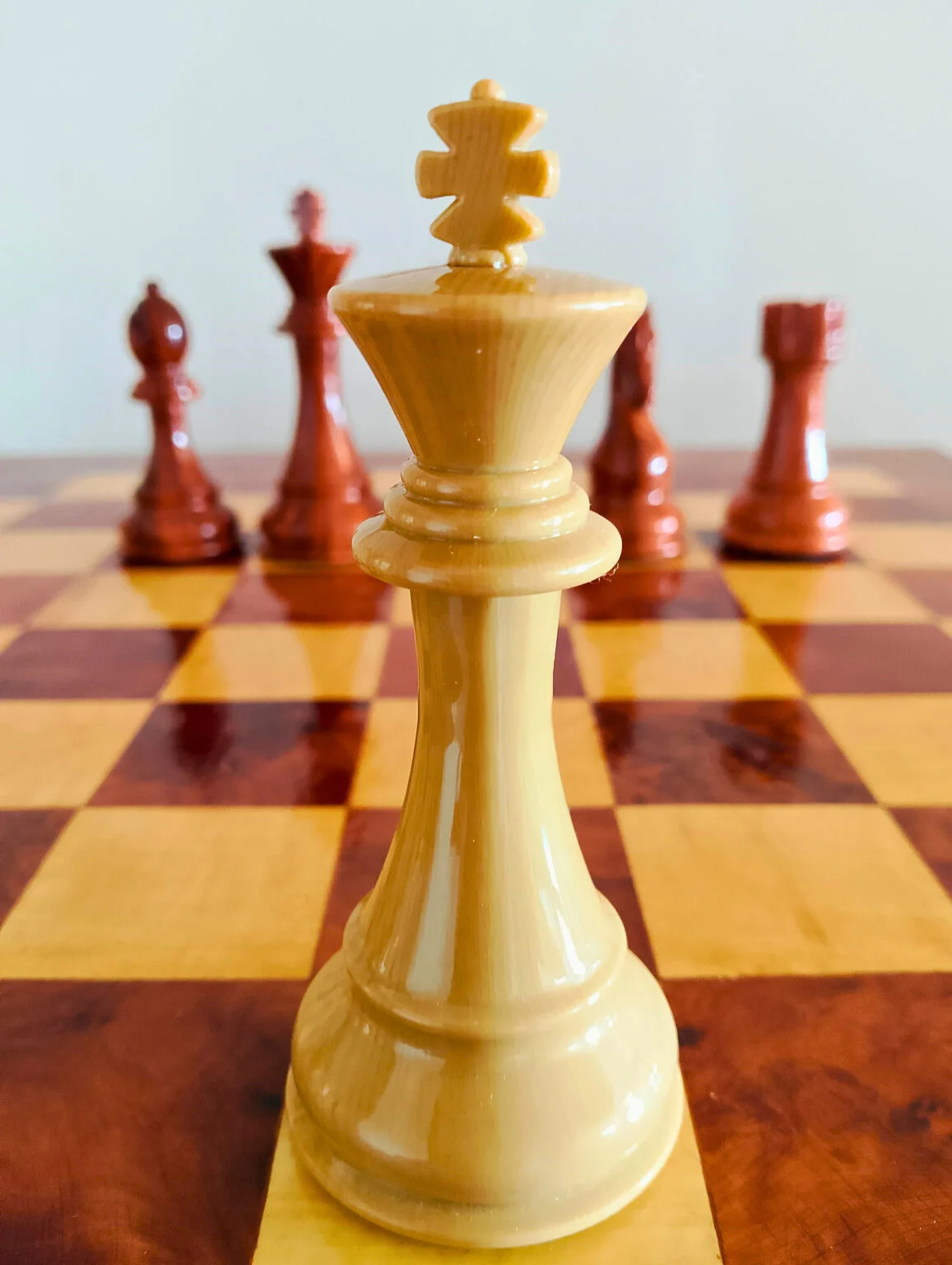 Roi ivoire en bois de Thuya — Regal Chess