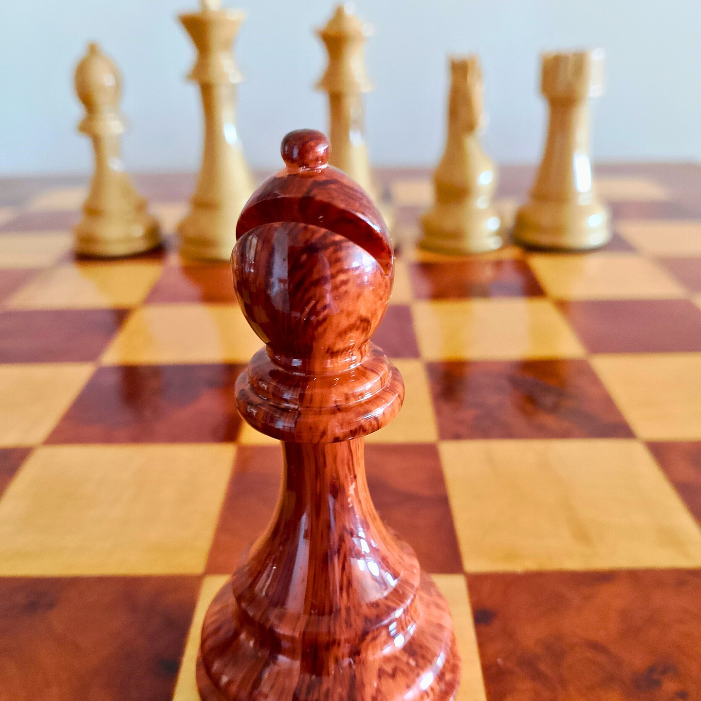 Fou en bois de Thuya — Regal Chess
